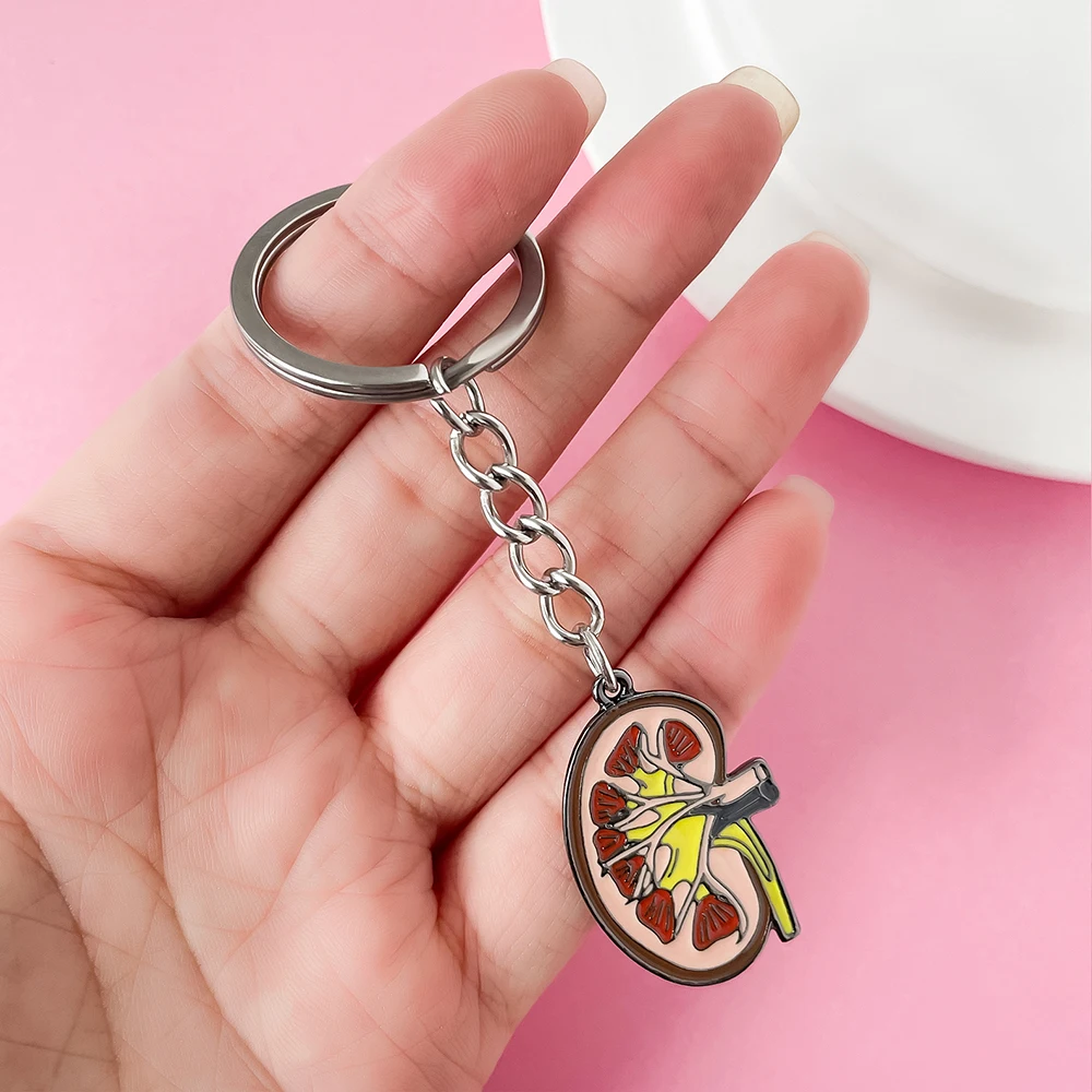 Medical Kidney Organ Keychain Anatomy Urology Jewelry Enamel Pendant Key Chain for Doctor Nurse Medicine Student