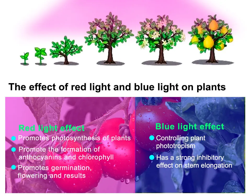 Lámpara LED E27 para plantas, vaso de luz de relleno para interior, 48 cuentas, 60 cuentas, 80 cuentas, lámpara de crecimiento de plantas Vled