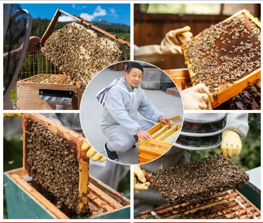 ملابس واقية لمكافحة تربية النحل، معدات النحل الملتصقة الجديدة ذات الهواء السميك لكامل الجسم، ثلاثية الأبعاد قابلة للتنفس ومضادة للنحل ج #6