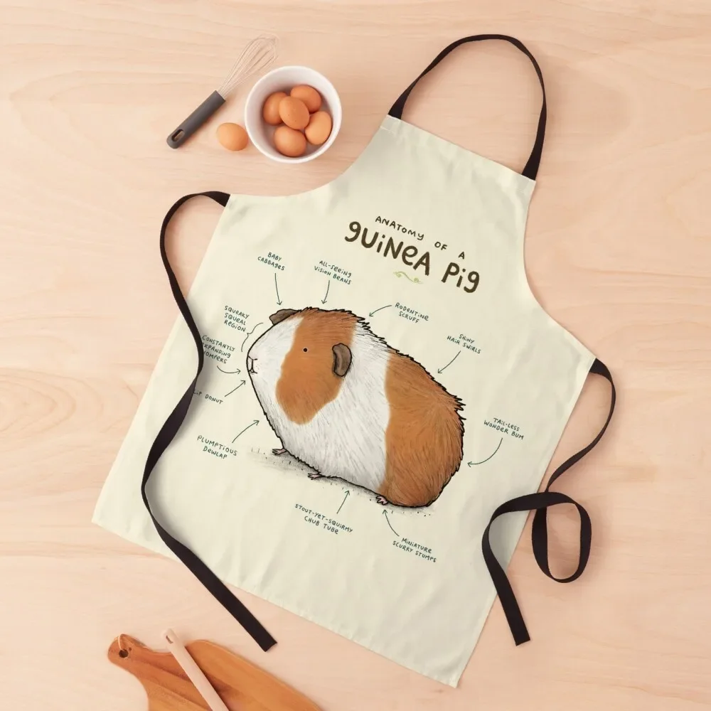 Anatomy of a Guinea Pig Apron Novelties Kitchen And Home kitchen woman Apron