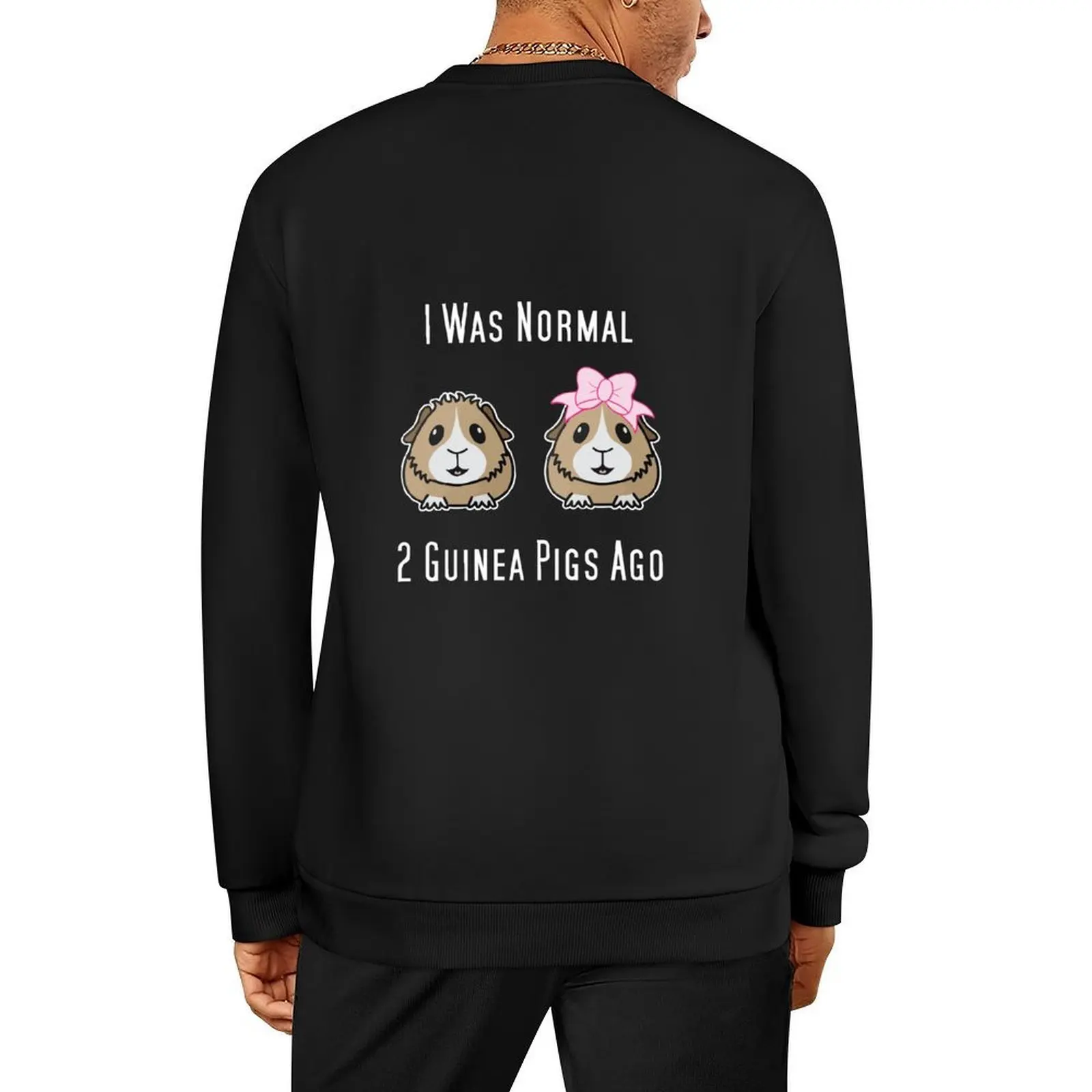 

i was normal 2 Guinea Pigs Ago Pullover winter clothes men's winter sweater autumn jacket men mens clothing sweatshirts for men