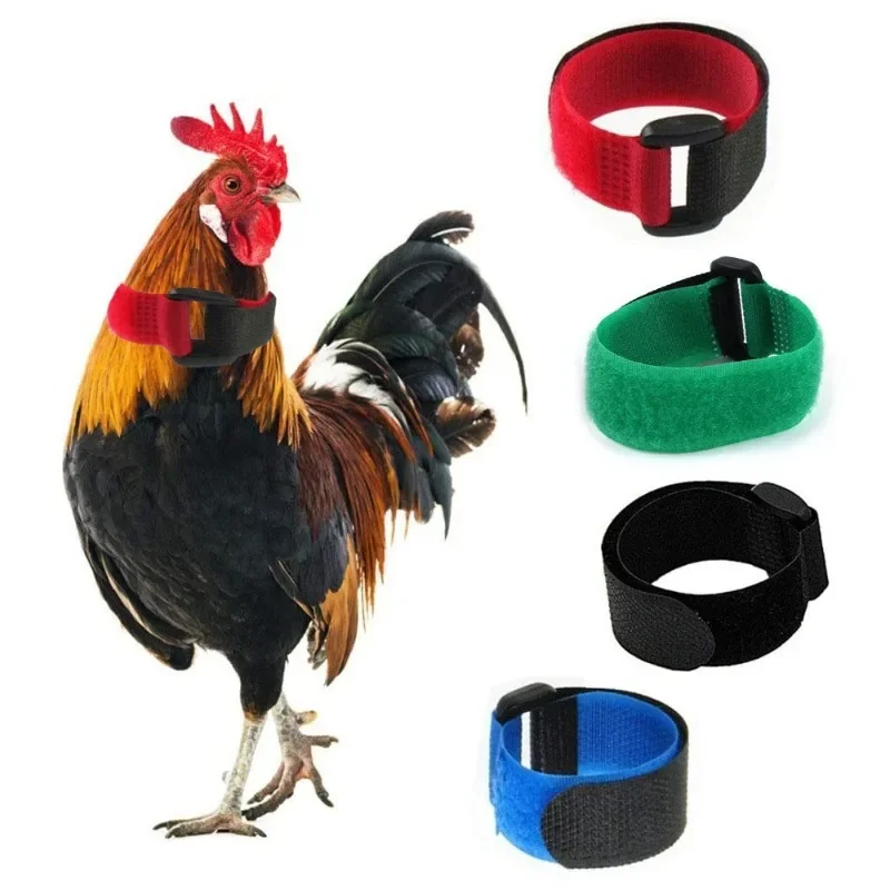 New Pet Chicken Collars Preventing Rooster Crowing No Hook Neck Tie Christmas Collar Supplies High Quality Material Selection