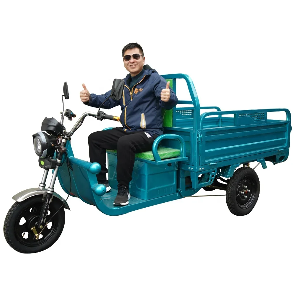 Hot Selling Electric Tricycles Cargo Truck Big Wheel Tricycle For Adult