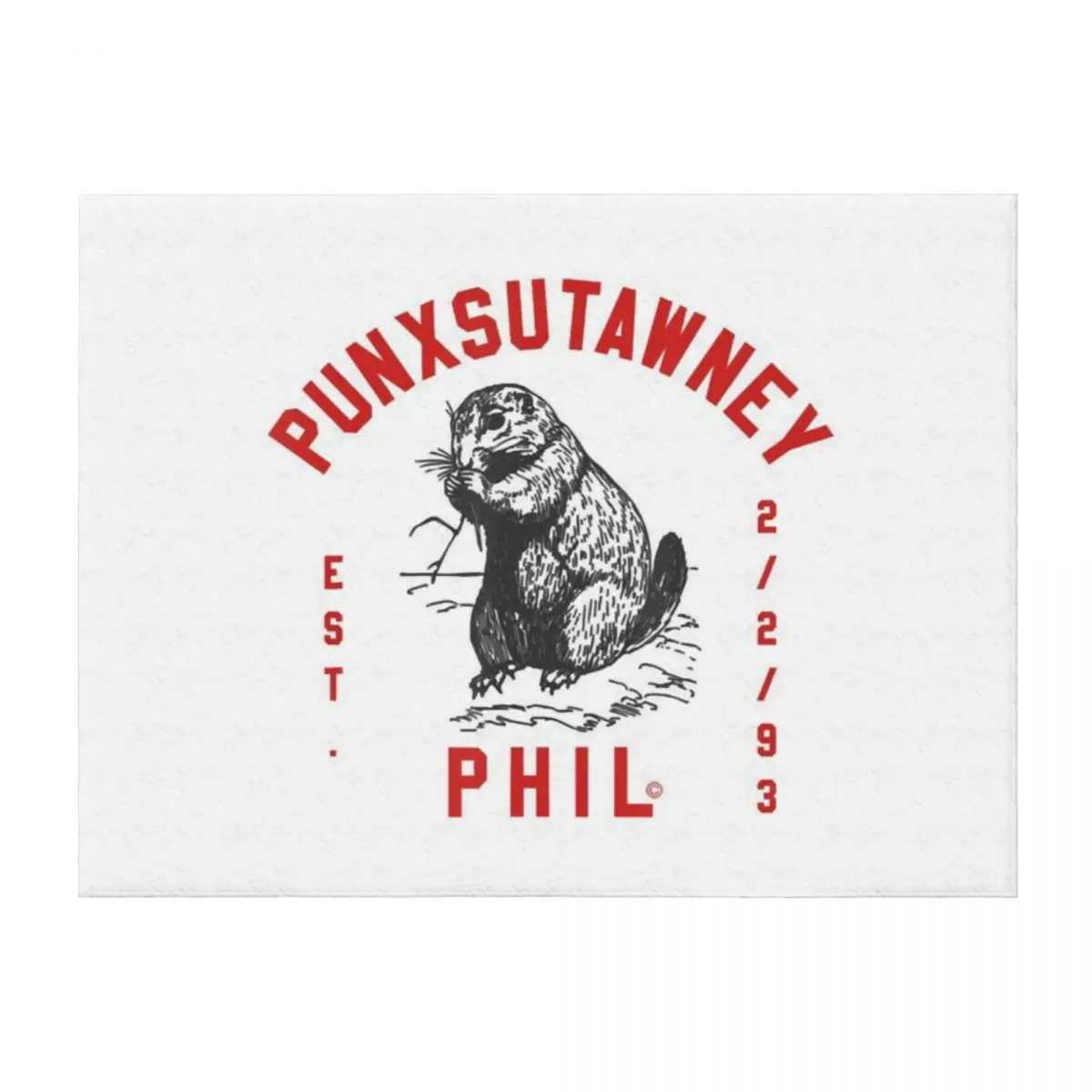 

Punxsutawney Phil Groundhog Day Mens Womens Throw Blanket decorative Weighted Personalized Gift Thins Blankets