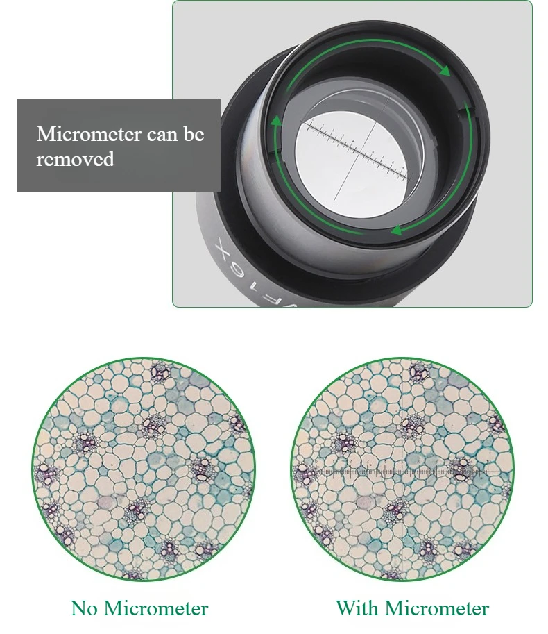WF5X WF10X WF15X WF16X WF20X WF25X Biological Microscope Wide Angle Eyepiece 23.2mm Interface Micrometer Optional Education Use - Image 6