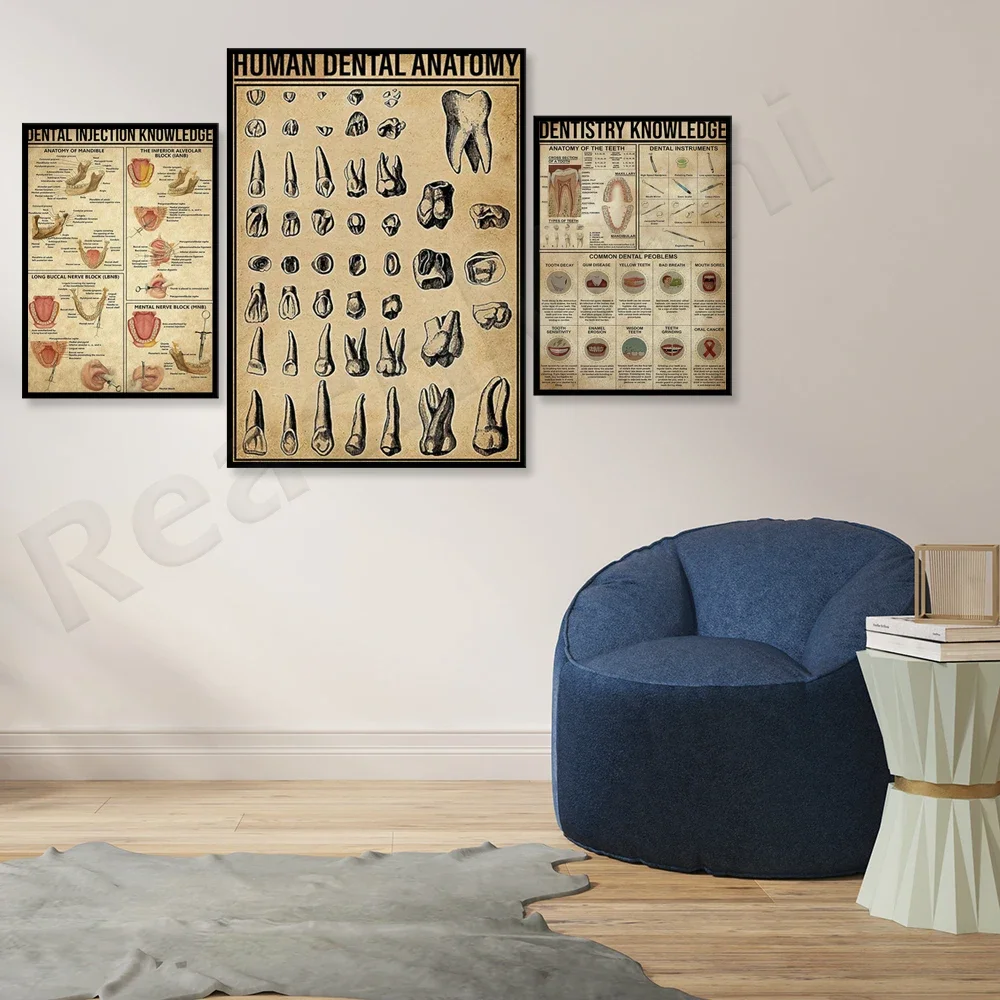 Human tooth anatomy knowledge print, dental rules printing, dental injection retro poster, dental decoration