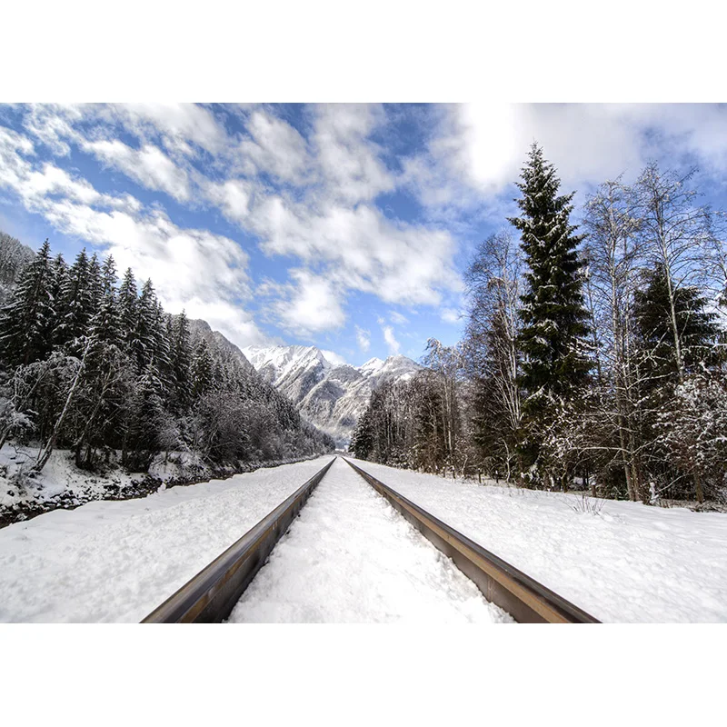 SHENGYONGBAO Art Fabric Train Track Landscape Photography background Portrait Photo Background Studio Props  211015 HCGD-02