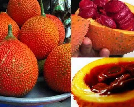 

Приемник BAYCK ELRS NANO (2,4 ГГц/900 МГц) — Т-антенна, обновление Wi-Fi, низкая задержка для гоночных дронов FPV дальнего действия