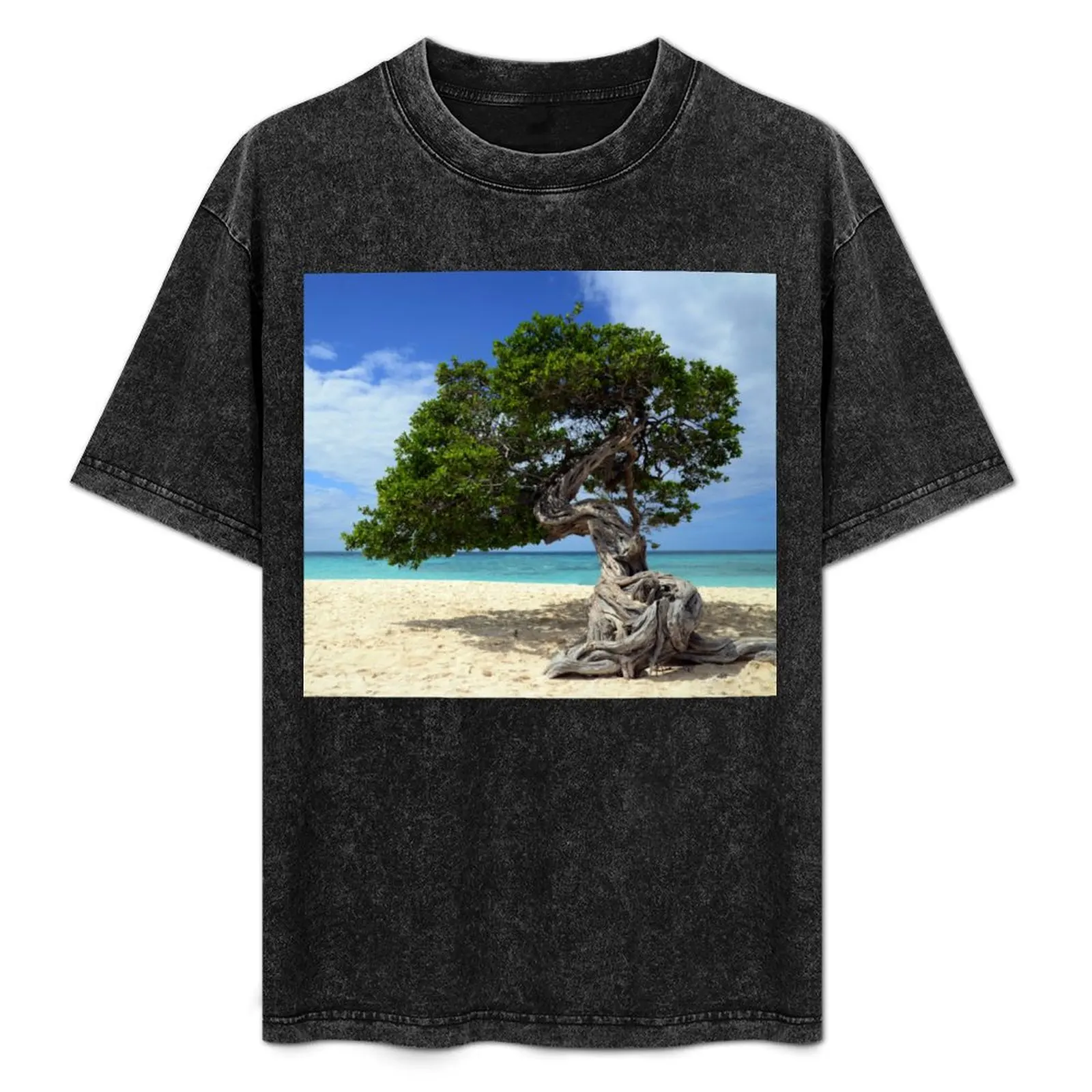 

Aruba tree , Divi Divi T-Shirt Clothing Funny t-shirt anime stuff heavyweights mens vintage t shirts