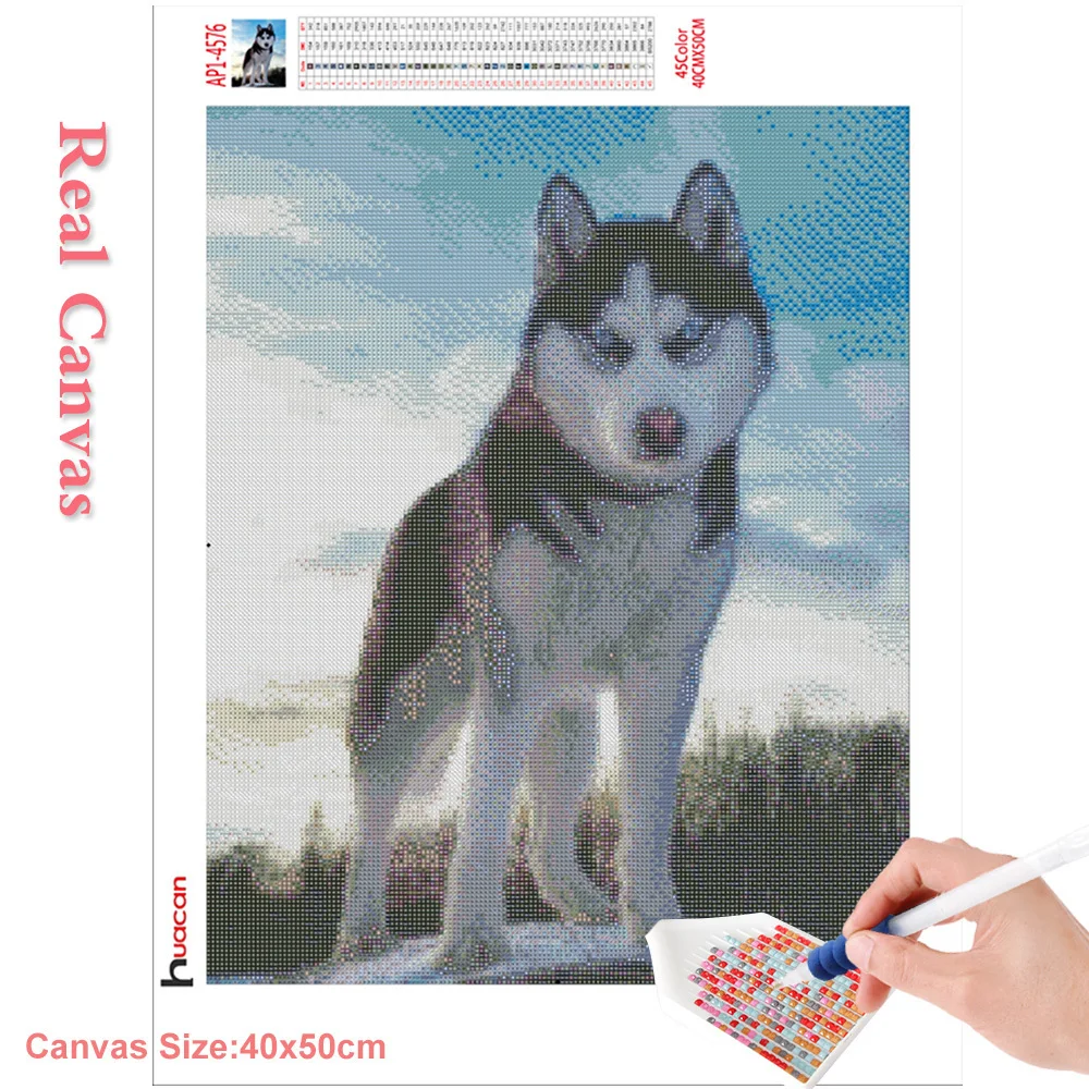 Huacan 5d Diamond Painting Full Drill Square Dog Mosaic Animal Home Decoration Embroidery Husky Diamond Art