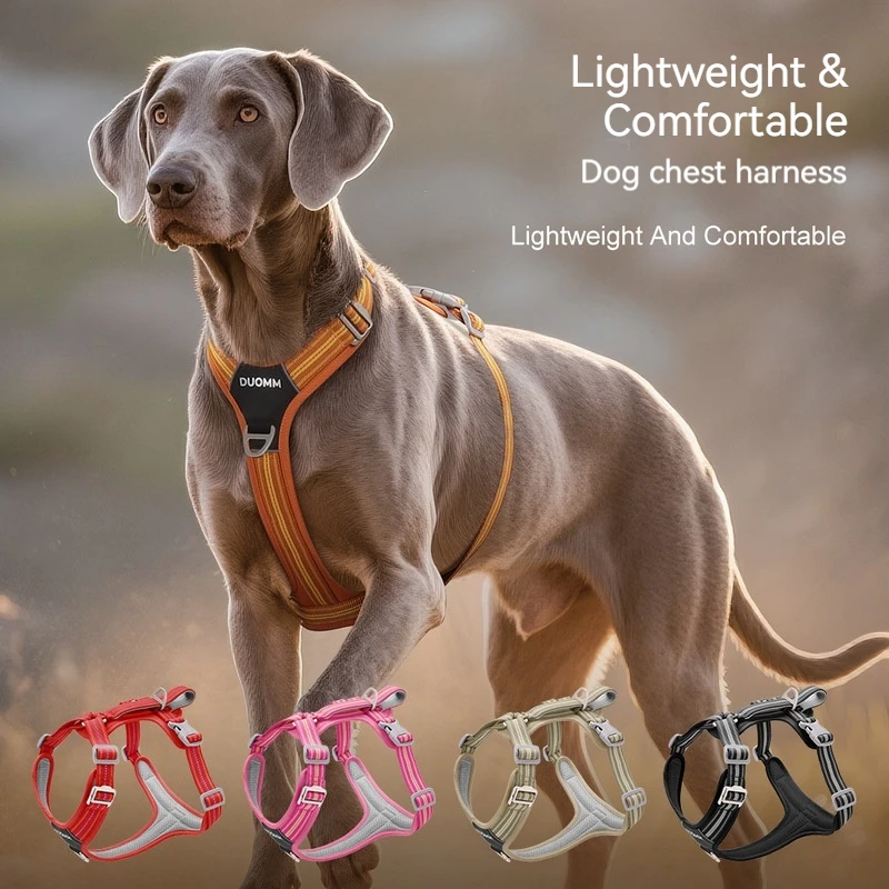 Harnais anti-traction pour chien avec laisse, réfléchissant, résistant à l'usure, souple, pour la promenade en extérieur, sangle de poitrine pour animaux de compagnie, accessoires de sécurité tendance pour animaux.