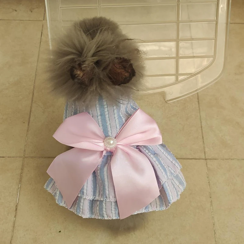 Sweet Bunny Rabbit Skirt Summer Pet Dress for Small Animals Stripe Plaid Puppy Dog Cat mascotas Clothes Clothing estidos perrita