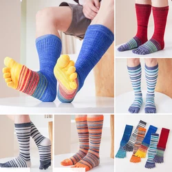 Man Long Toe Socks Plus Large Size Combed Cotton Colorful Striped Compression Sport Fitness Happy Funny 5 Finger Calf Socks