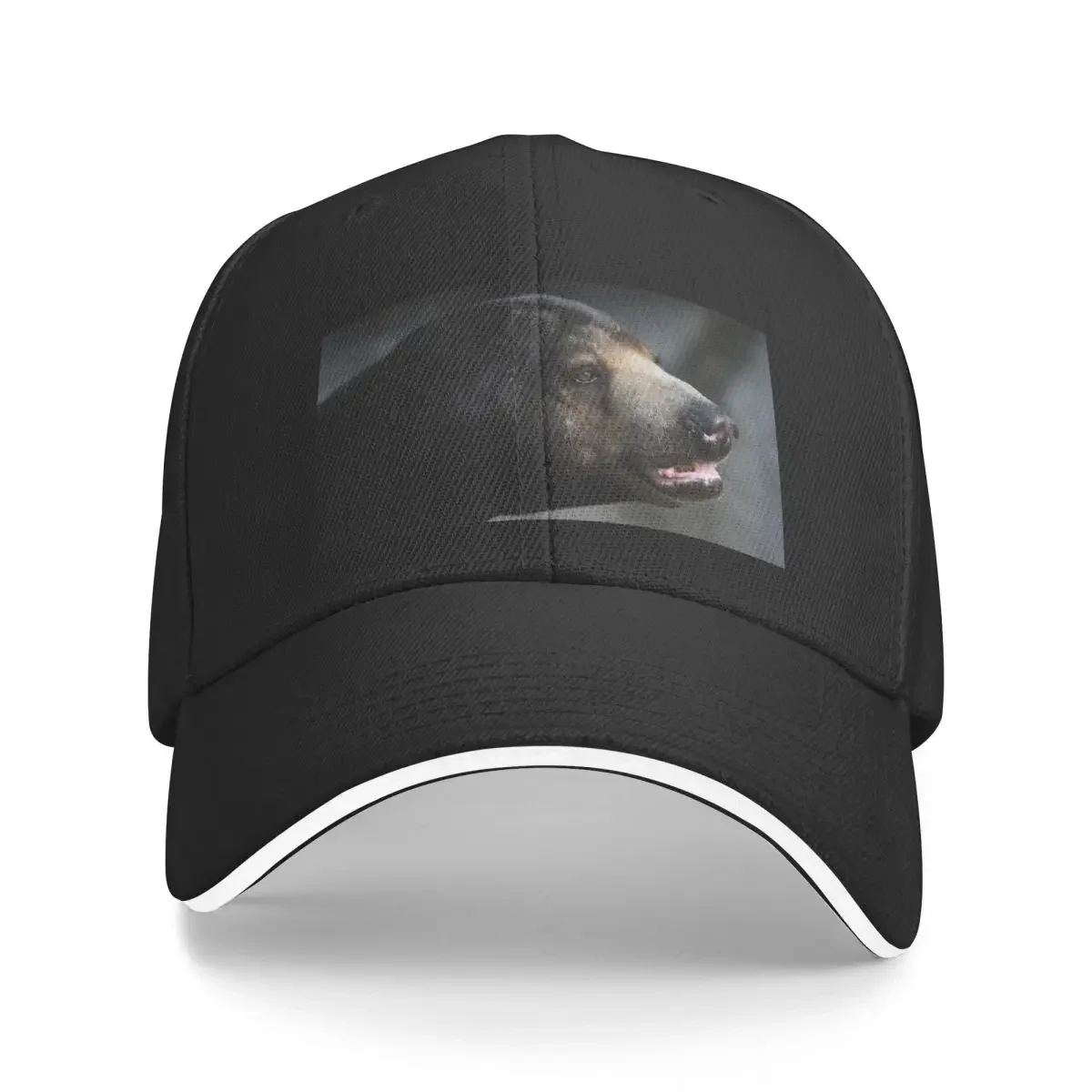 Sun Bear Portrait Baseball Cap black Gentleman Hat Cosplay Designer Man Women's