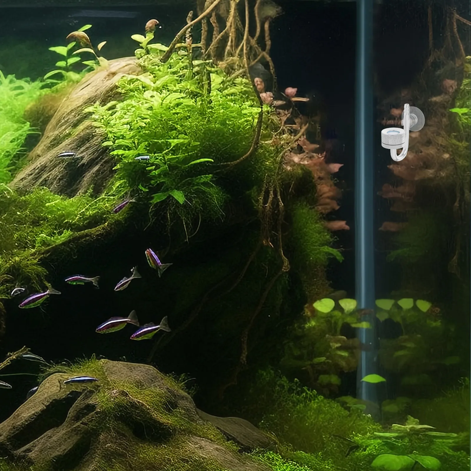 Co2 Diffuser Planted - Aluminum Alloy Co2 Diffuser Silver Aquarium