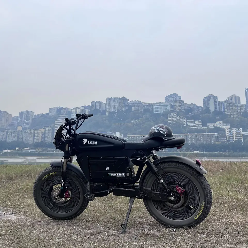 Adult Electric Bike Black Warrior 3000W Motor 60V45AH Battery 90KM/H Electric Bicycle 20*5 inch Tire Off-Road All-Terrain E-Bike image 5
