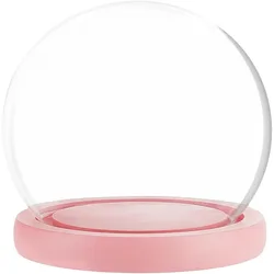 1 Set Glass Dome Glass Display Showcase Decorative Display Dome Miniature Case Snowglobe for Fairy Lights Plants Flower