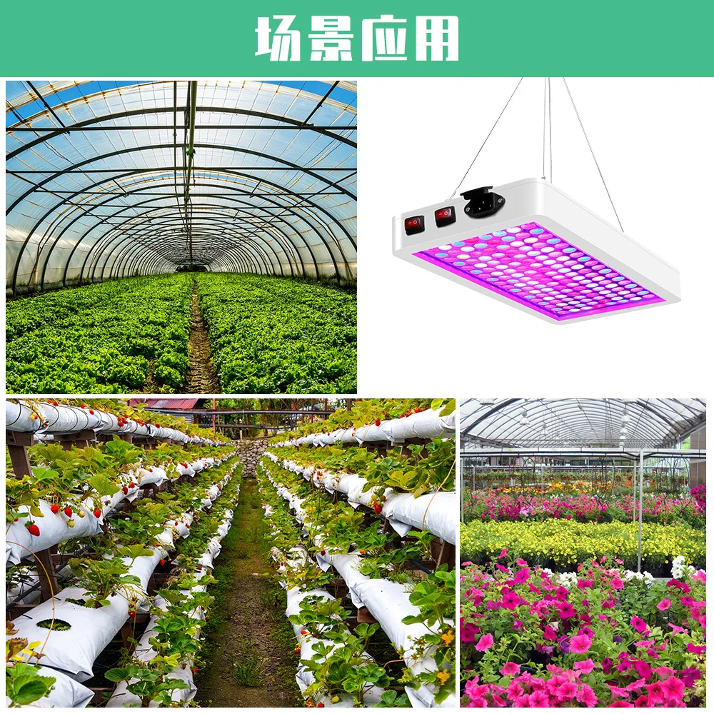 5000 واط الكم مجلس LED تنمو ضوء فيتو مصباح الطيف الكامل LED النباتات لمبة داخلي 4000 واط Phytolamp لزهرة الشتلات Fitolamp