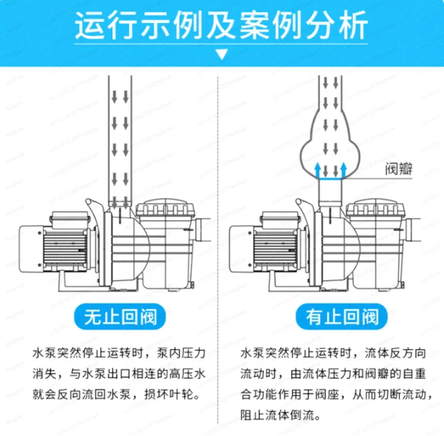 スイミングプール用バス設備アクセサリー、パイプ、逆止弁、二方弁、三方弁