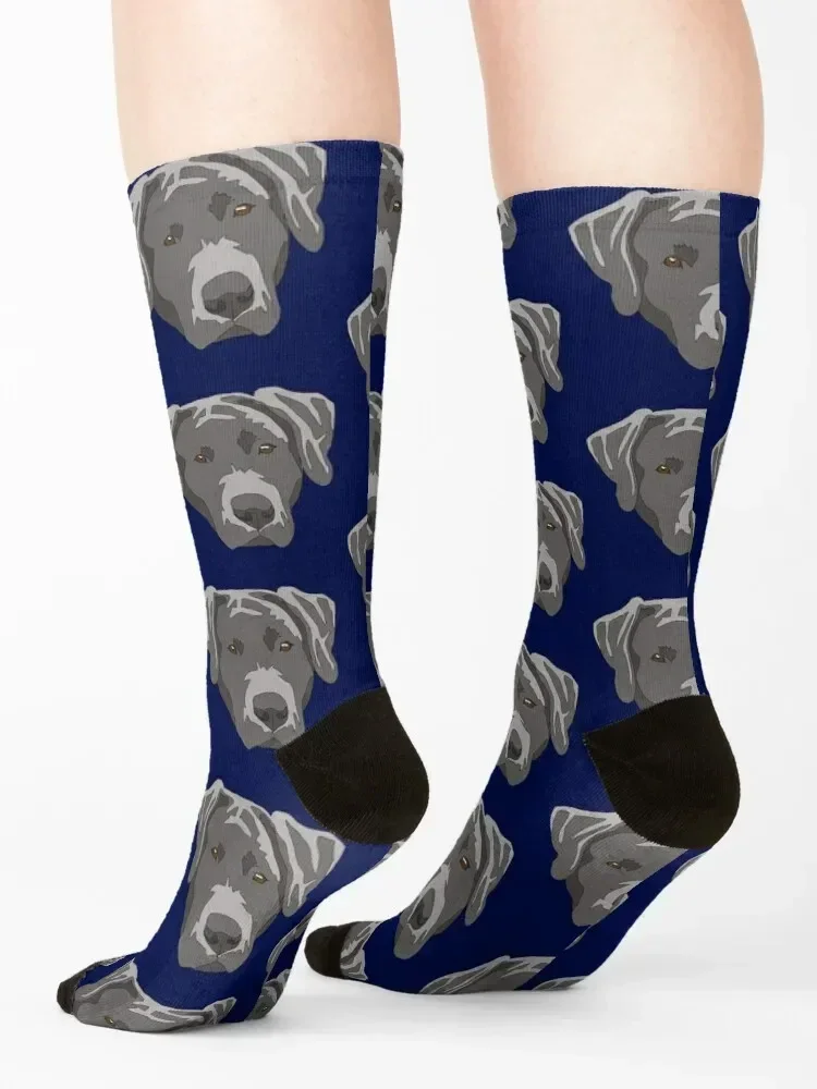 Silver lab face Socks gift funny gifts football sport Boy Child Socks Women's