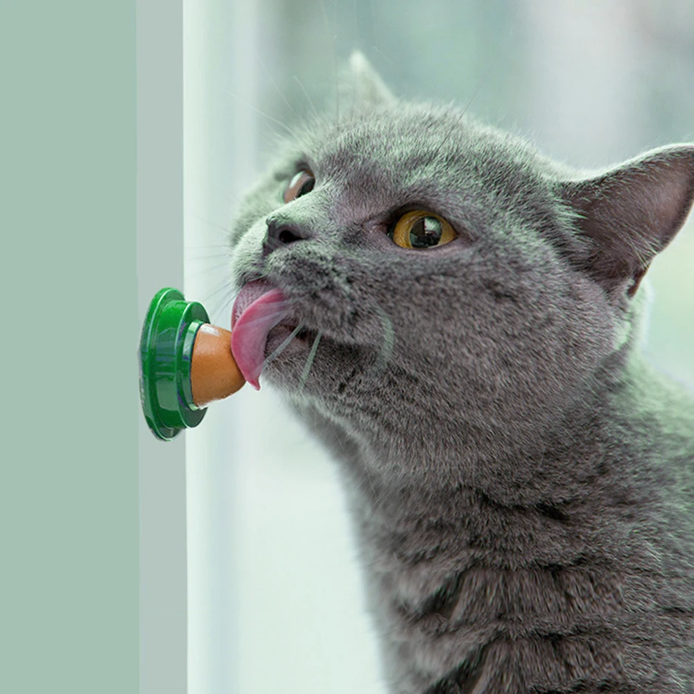 Gato catnip lambendo doces para gatinho aumentar a nutrição potável gel lanches