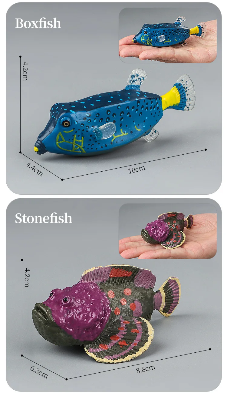 Meeresleben-Tiere-Modell, Actionfiguren-Set – Ozeanfisch, Thunfisch, Segelfisch, Bass, Zacker, Lachs, PVC, Lernspielzeug für Kinder – Detail 12