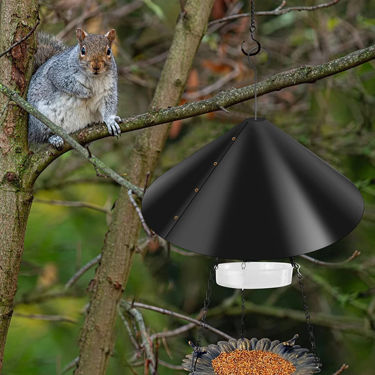 Thumbnail 3 - #12 Trending Squirrel Feeders Right Now