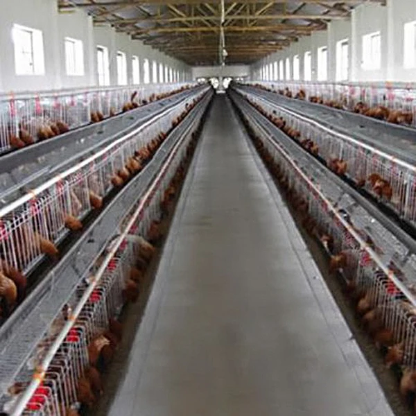 

10Pcs Red Poultry Drinking Nipples Food Grade Steel Hard Plastic Threaded Style for Chicken Turkey Geese Ducks Water Supply