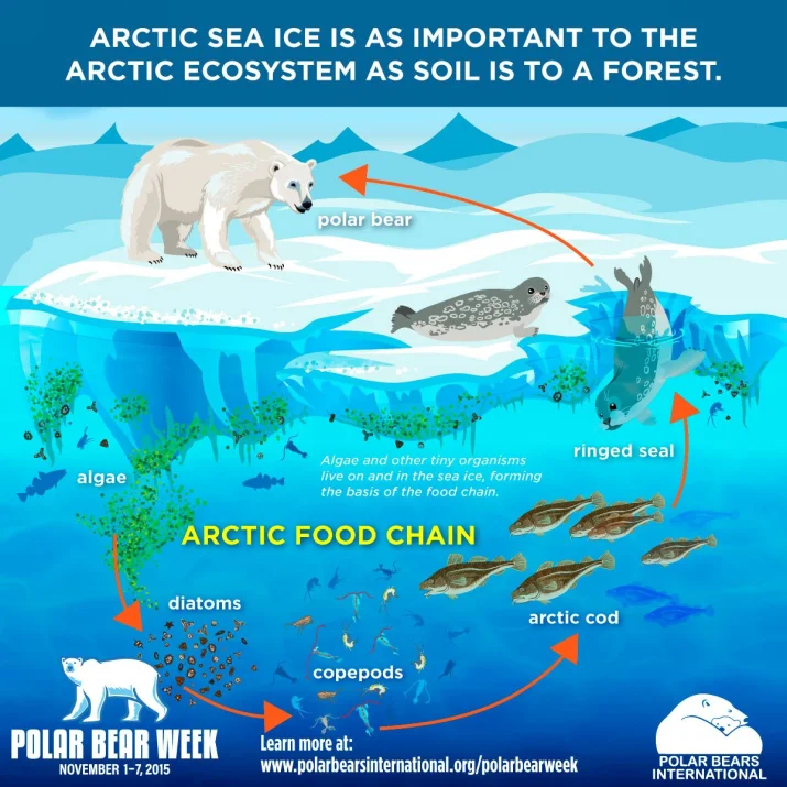 Metal Armor Collision Shield Bottom Shield Armor Set for MJX 10208 Metal 1/10 RC Car Upgrade Parts Accessories