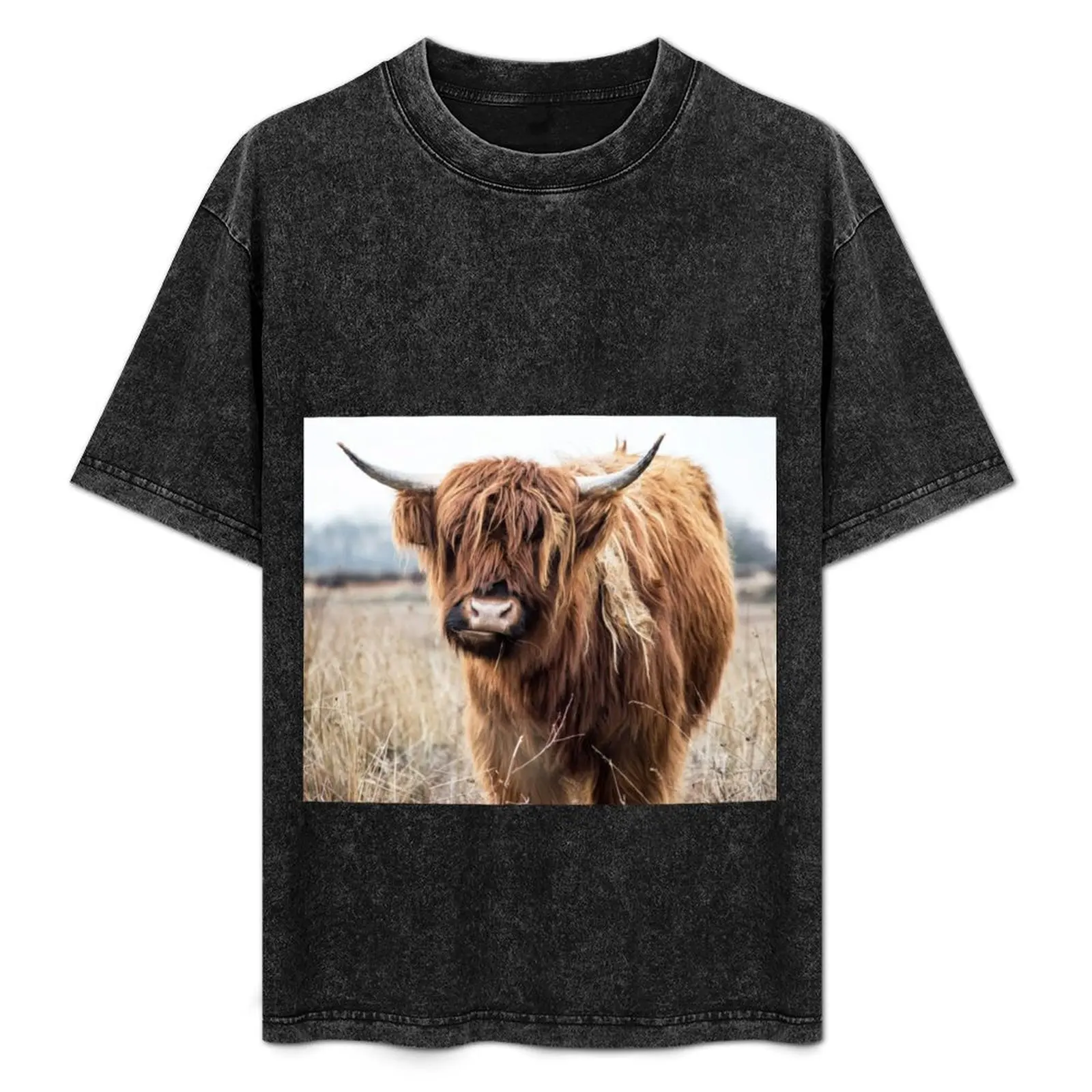 Highland Cow Portrait T-Shirt anime t shirts cute tops for a boy mens t shirts top quality