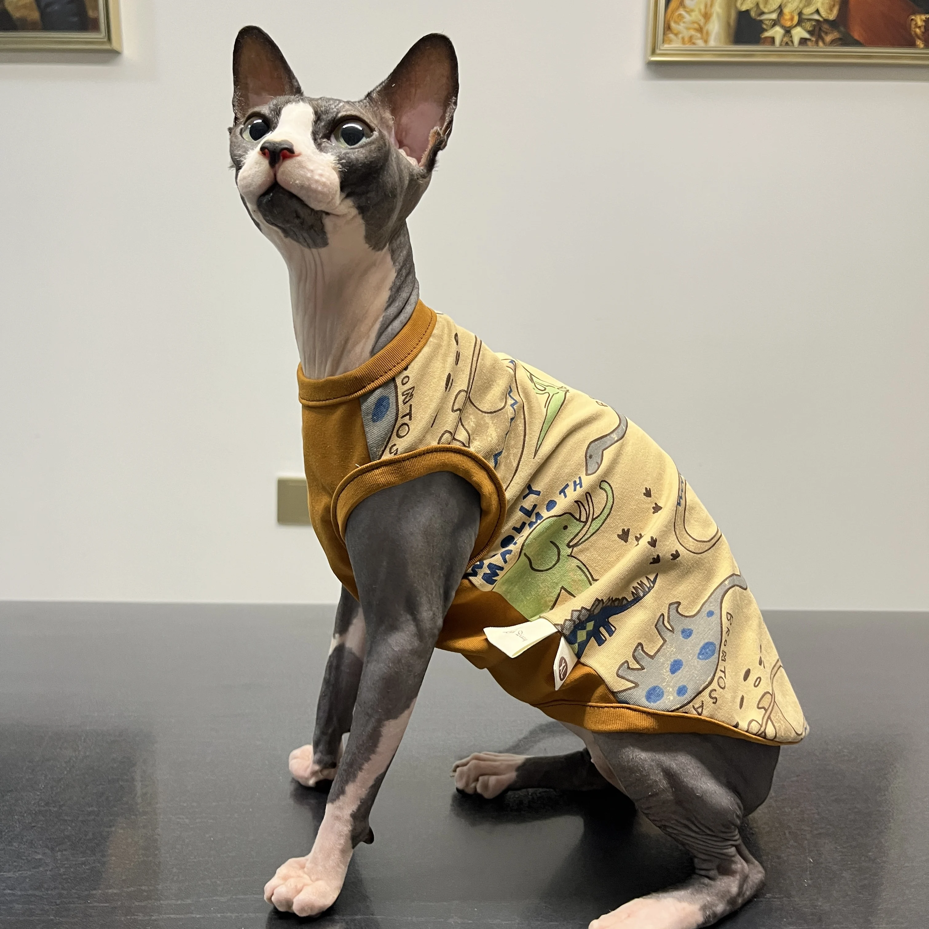 Cat clothing For Sphnx Cotton Vest Dinosaur Summer Spring Shirt for Devon Rex Cartoon Coat Jumpsuit For kittens Dog Cat Supplies