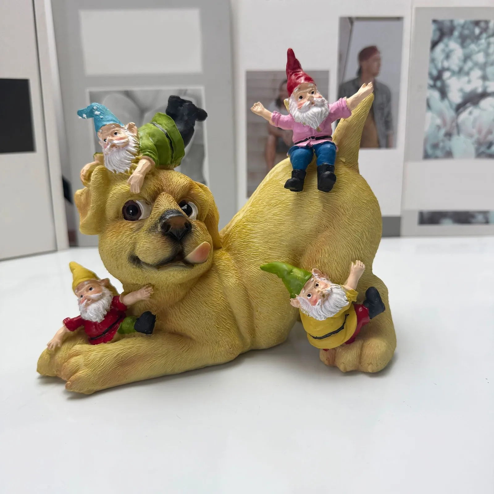 

Creative Dog And Gnome Outdoor Sculptures Cute Animal Statues Garden Art Decoration Yard Home Decoration Desktop Ornament