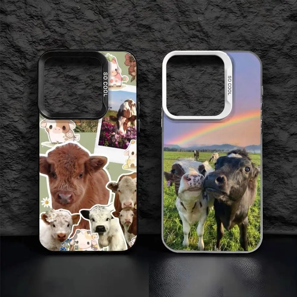 Lovely Cute Cow Cow…