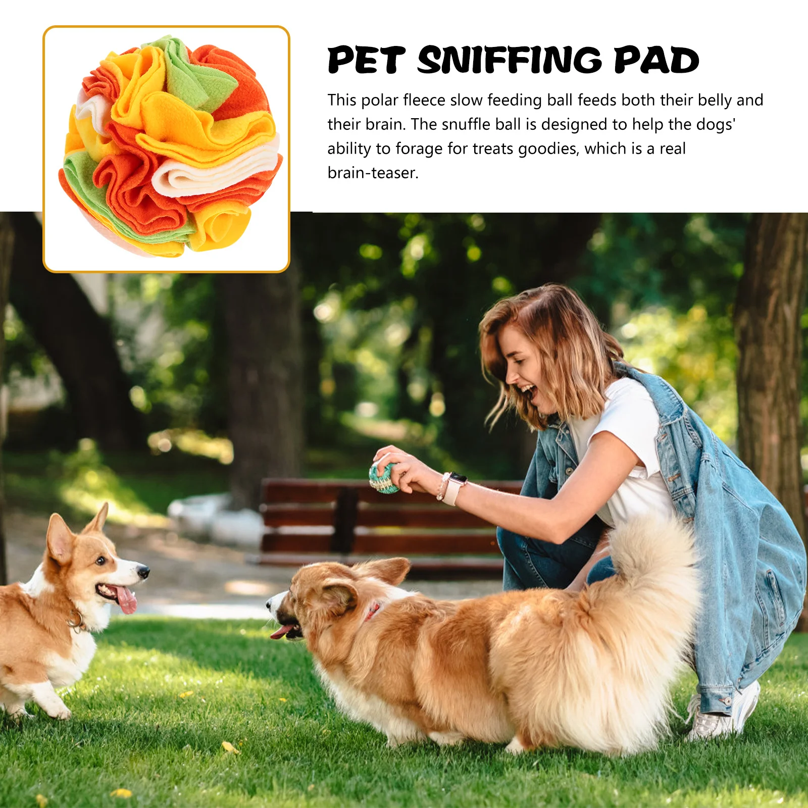 

Olfactory Bulb Dog Boredom Pet Sniff Building Ball Sniffing Training Puzzles for Small Dogs Interactive Feeding Onion