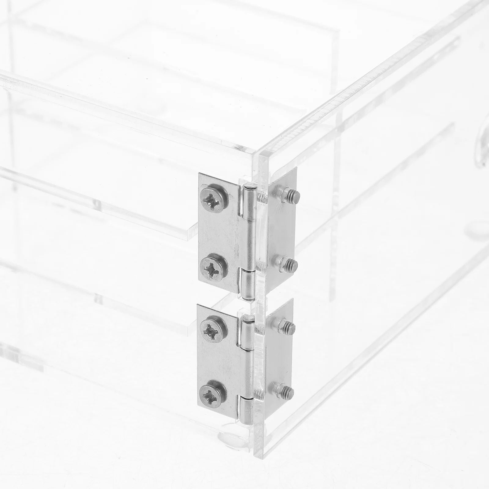 صندوق تخزين الرموش الصغيرة، حافظة رموش خفيفة الوزن للرموش الصناعية، تثبيت آمن بدون تشوه، مثالية للاستخدام اليومي أثناء السفر #1