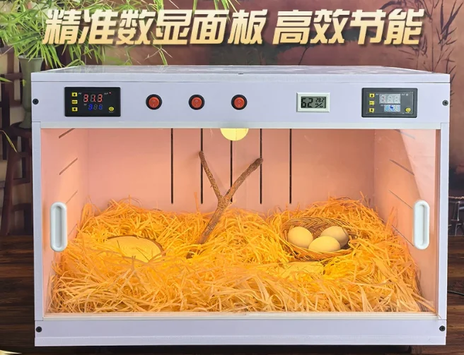 Dual Temperature Control Pet Air Warmer Parrot Thermostat Chick Guardian Barn Juvenile Bird PVC Warming Box