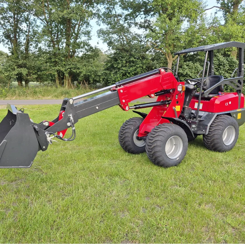 Mini Loader Hydraulic Mini Whe - огляд і ціна Wheel Loader