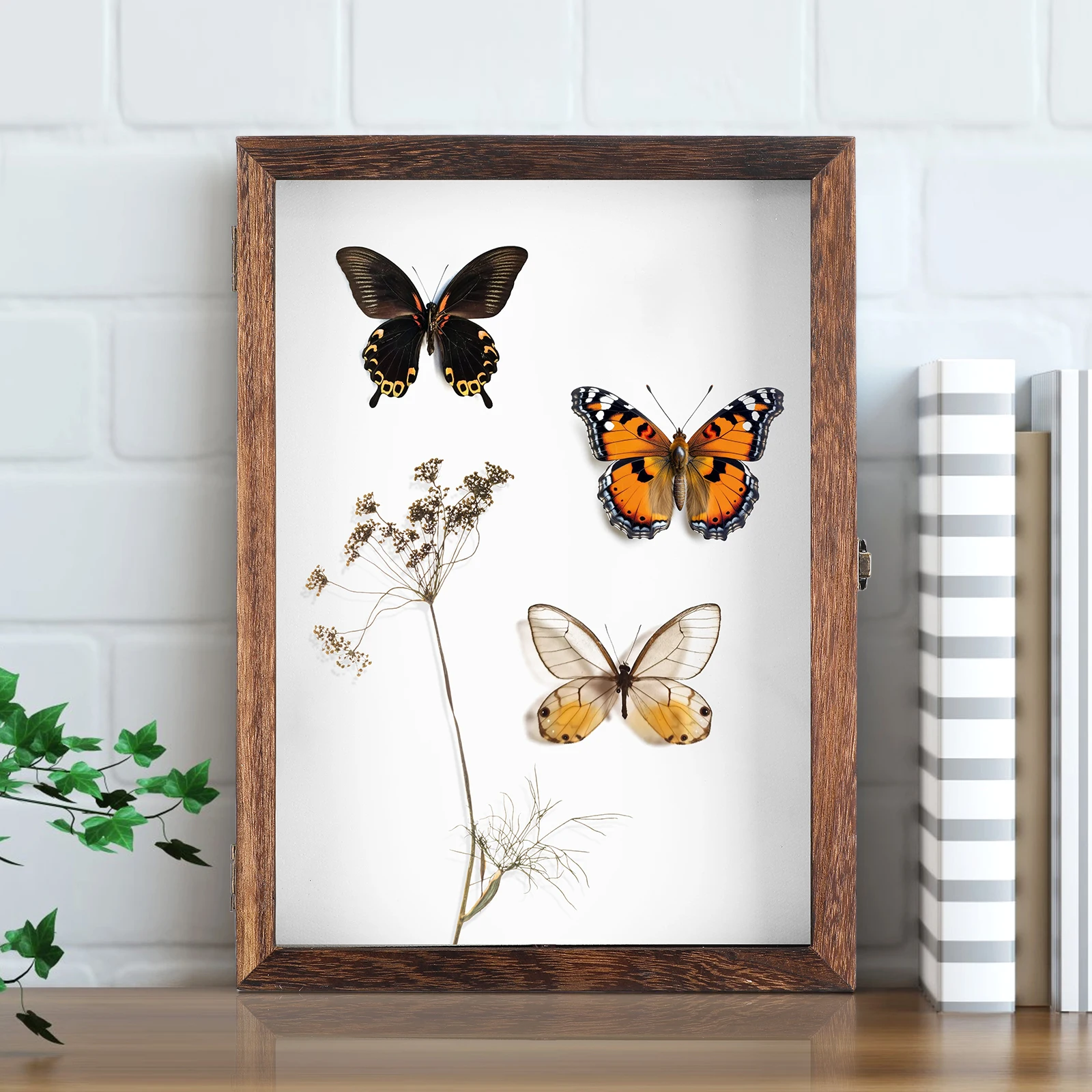 

Specimen Display Box High Grade Wood Acrylic Retro Cover Clear Waterproof Large Space Necklace Frame Shadow Box Case