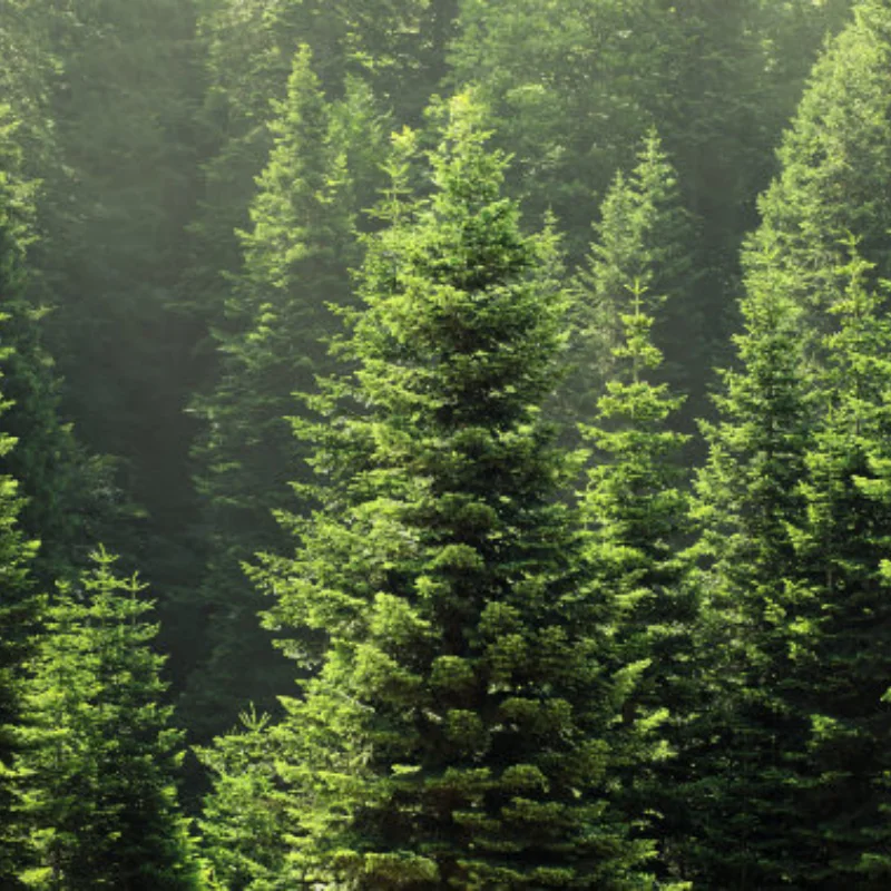 

RC Car Motor Heatsink Cooling Fan with Thermal Sensor CNC Aluminum Alloy Clamp Heatsink for 4268 4274 Motors 1/8 1/10 RC Cars