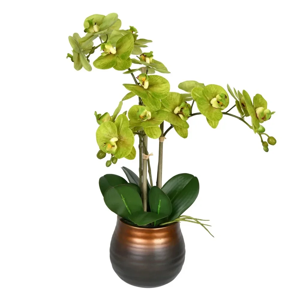 Artificial Potted Real Touch Green Phalaenopsis Spray Flowers Home Decoration Free Shipping Artificial Decorative Plant Plants