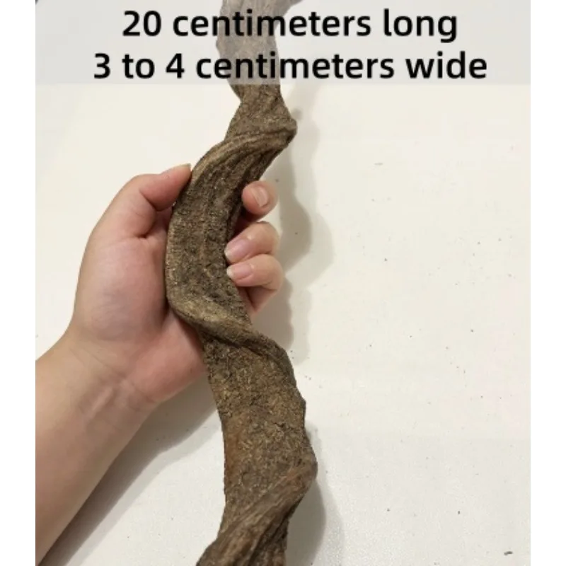 

20cm Long Natural Reptile Climbing Wood, Rainforest Tank Vine for Landscaping, Cross River Dragon Vine