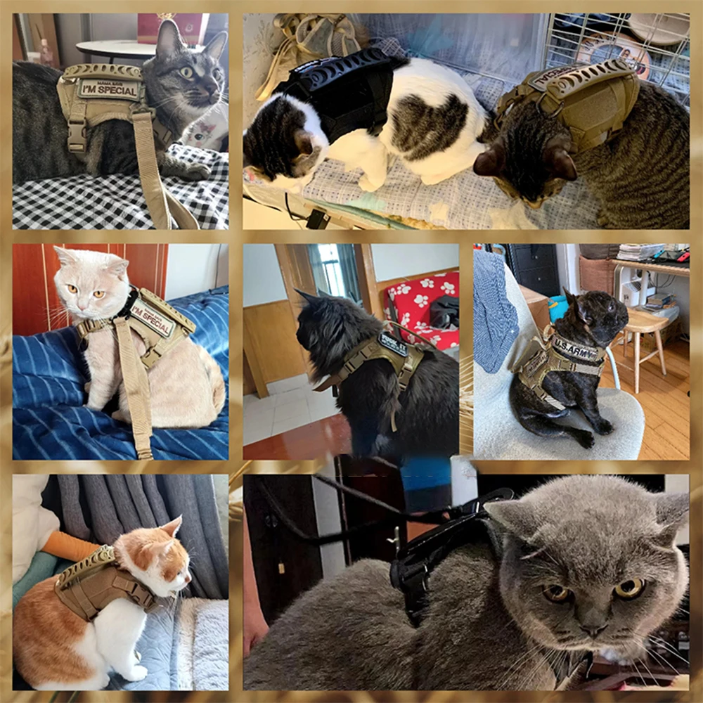 Taktisches Katzengeschirr und Leine-Set zum Spazierengehen, auslaufsicheres Haustierweste-Geschirr, weiches Netz mit Steuergriff für Katzen, kleine Hunde – Detail 6