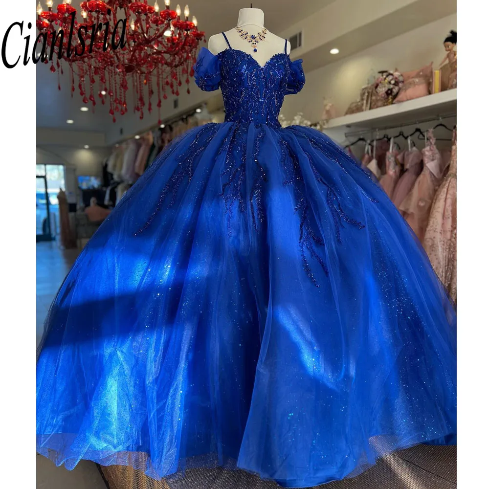 Quinceanera Dress Ball Gown Dark Royal Blue Tulle Long Sleeve Luxury Quinceanera Gown  Applique Girl's Sweet 16 Dress