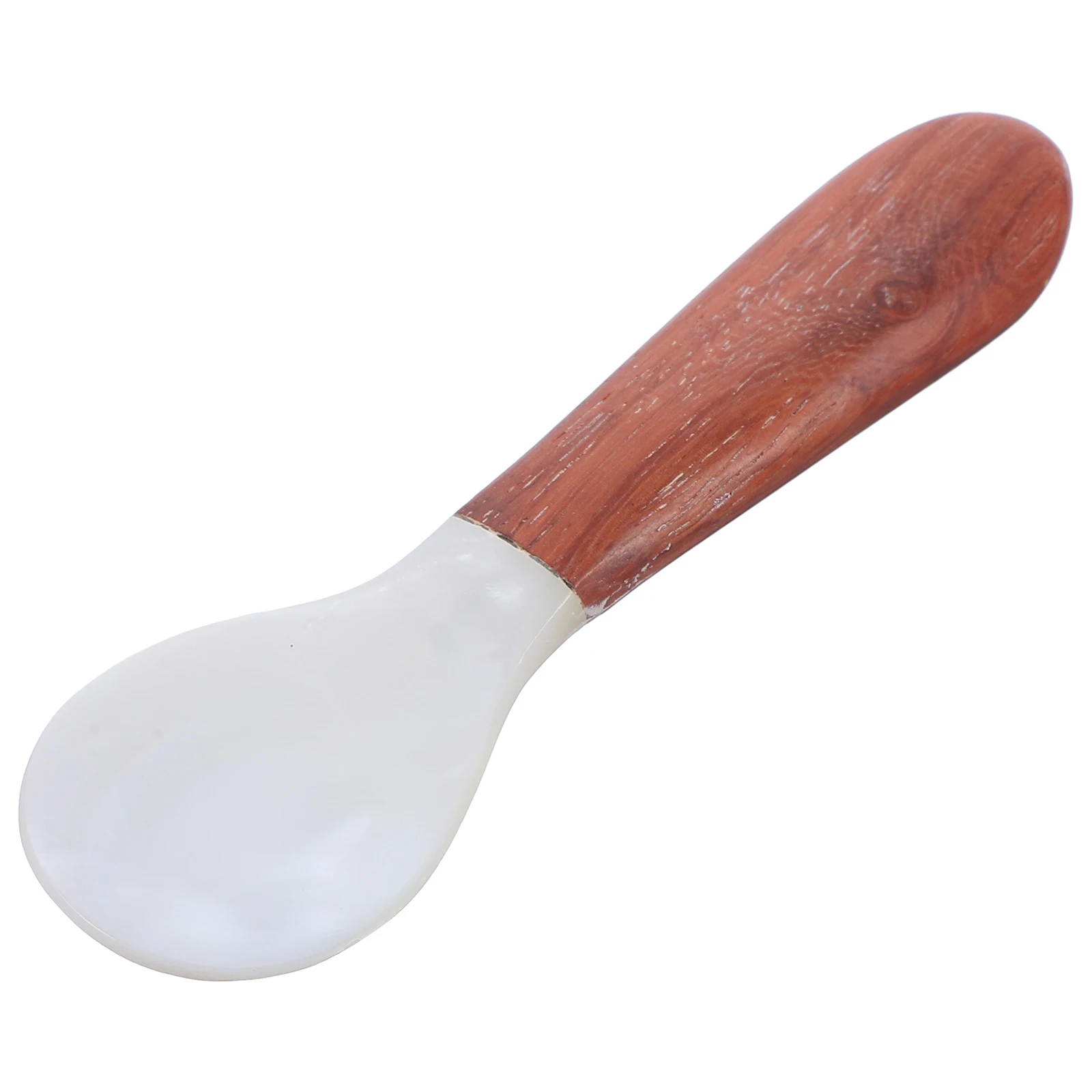 

Shell Spoon Reusable Coffee Miniature Wear-resistant Cake Desserts Sundae Kitchen Elegant Anti Practical Home Cafe