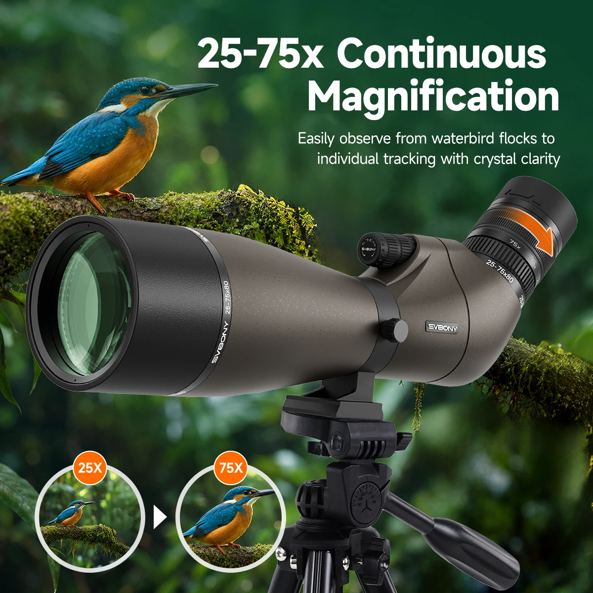 Thumbnail 3 - #14 Top 50 Spotting Scopes Worth Buying In 2026