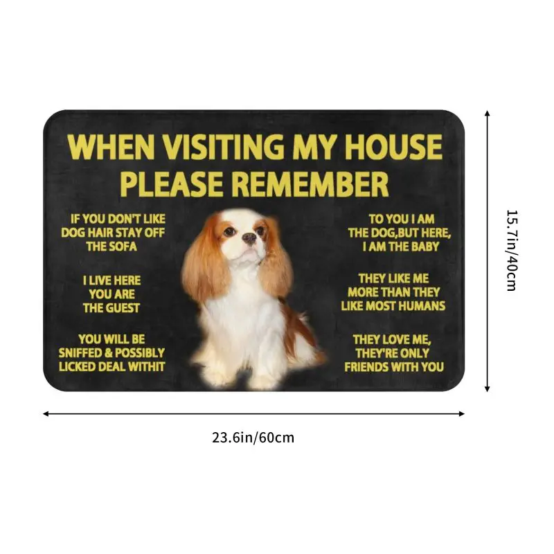 Personalized Please Remember Cavalier King Charles Spaniel Doormat Mat Anti-Slip Dog Kitchen Bathroom Balcony Rug Carpet 40*60cm