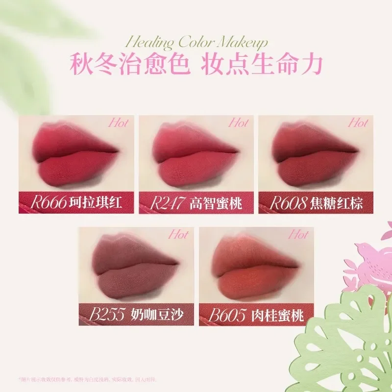 Colorkey air lipglazuur fluwelen matte matte lippenstift, gemakkelijk te kleuren, natuurlijke en langdurige lipglazuur lipgloss