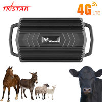 Animal Camel 4G GPS Tracker For Cow TK935 TKSTAR Camel GPS Locator Waterproof GPS Tracker Car Magnet Free Web APP