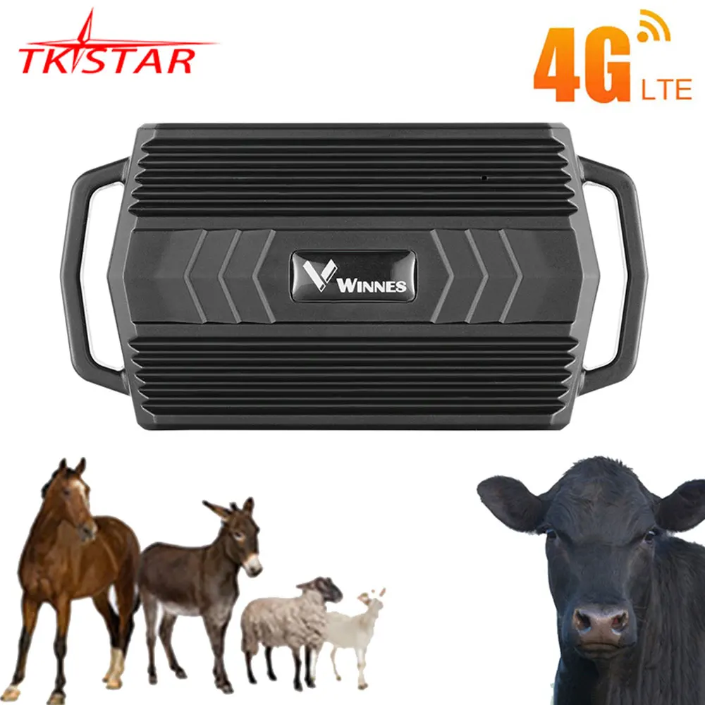 Animal Camel 2G 4G GPS Tracker For Cow TK935 TKSTAR Camel GPS Locator Waterproof GPS Tracker Car Magnet Free APP