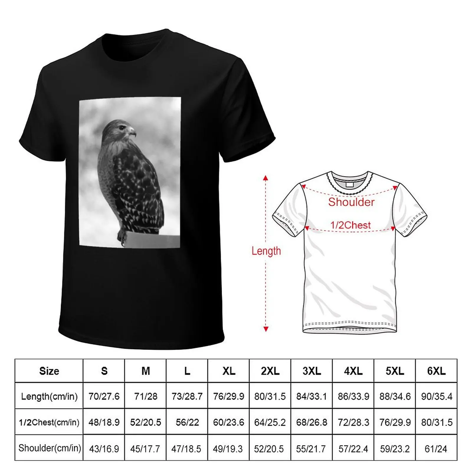 Hawk in Profile T-Shirt Plus Size Comfort Fit Tee